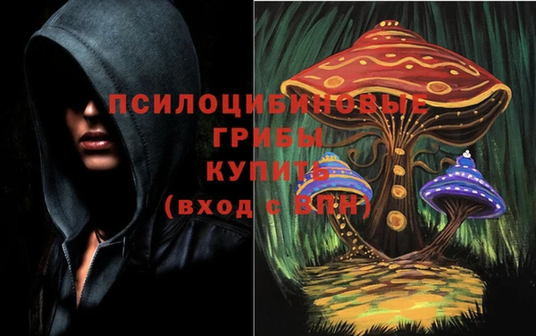 ПСИЛОЦИБИНОВЫЕ ГРИБЫ Беломорск