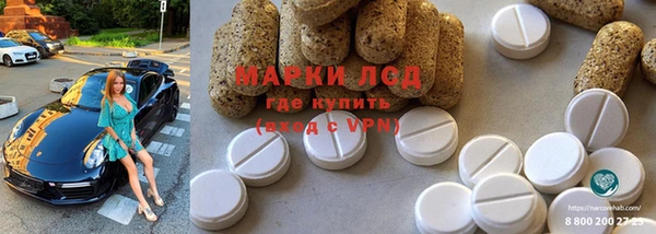 ГАЛЛЮЦИНОГЕННЫЕ ГРИБЫ Белоозёрский