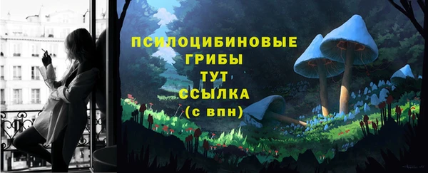 ПСИЛОЦИБИНОВЫЕ ГРИБЫ Беломорск