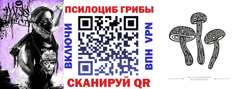 МЕГА ТОР  купить   Маркс  Псилоцибиновые грибы ЛСД 