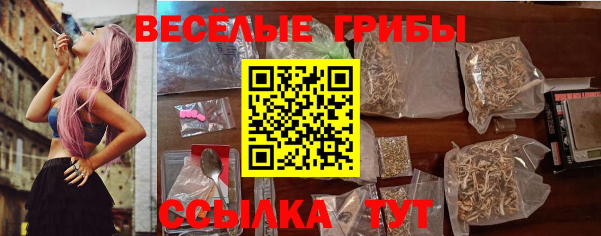 Маркс  Галлюциногенные грибы GOLDEN TEACHER  Вход с VPN  Псилоцибиновые грибы Psilocybine cubensis 